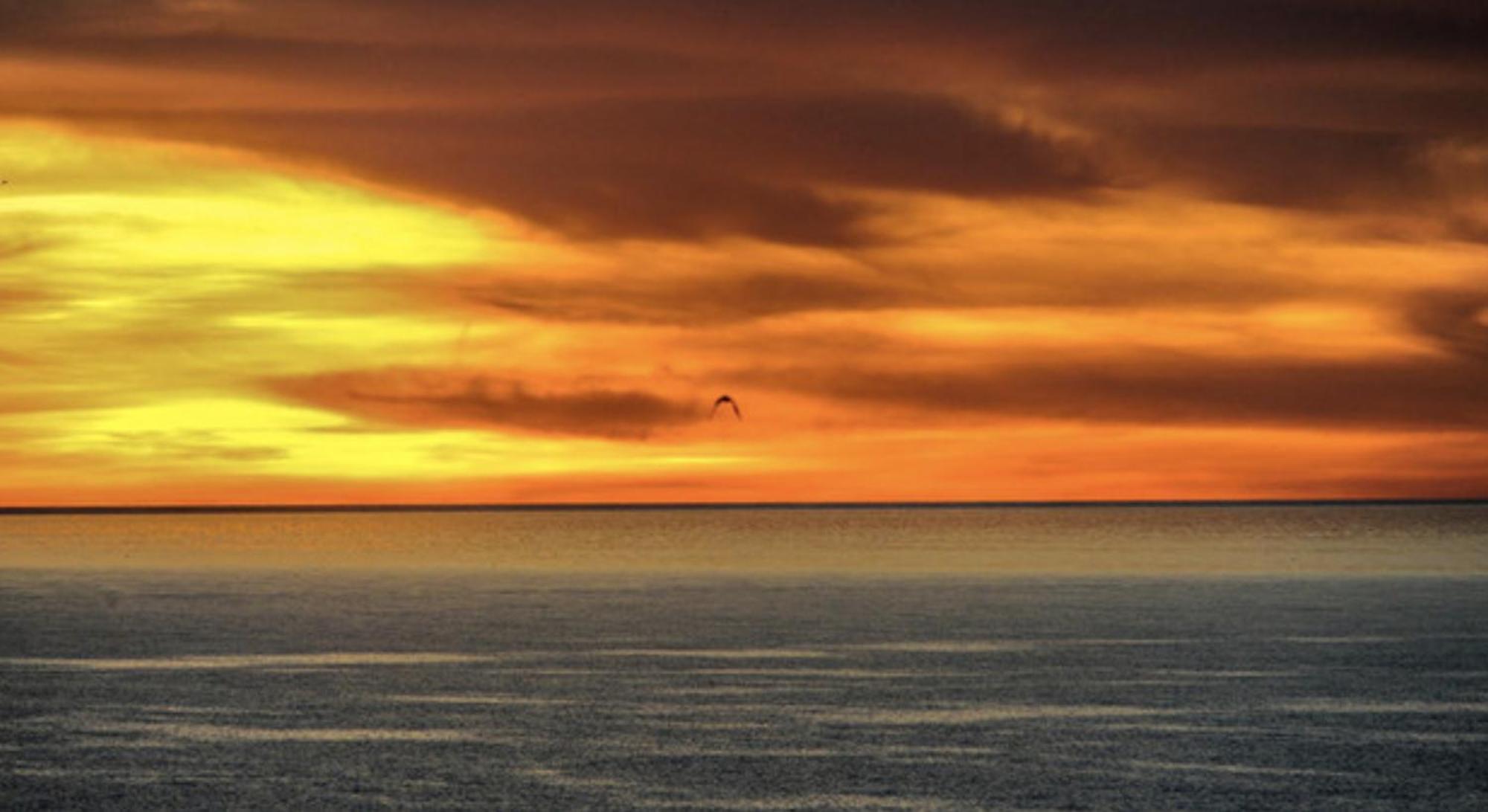 Piuma Celeste A Due Passi Dal Mare E Dal Centro Storico Lido di Ostia Exterior foto